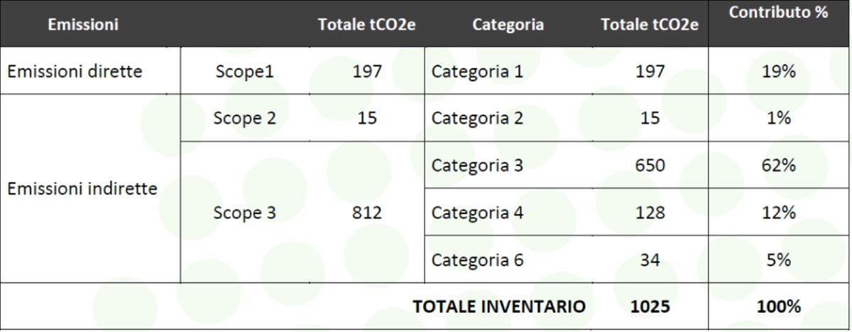 Ecco la nostra impronta di carbonio per l'anno 2019.