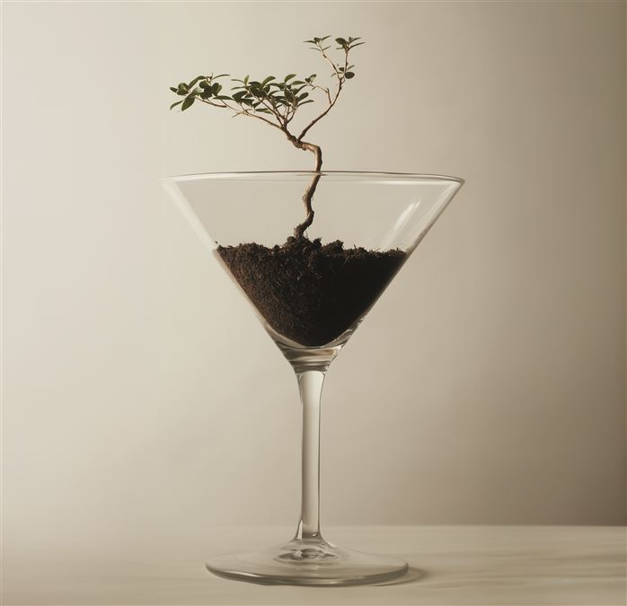 Non basta più avere il caffè come aroma o infusione perché anche nel mondo beverage i bartender hanno iniziato a lavorare (e divertirsi) con il caffè specialty.