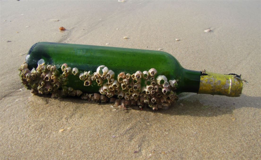 Cosa succede se lasciamo una bottiglia sul fondo dell'oceano?