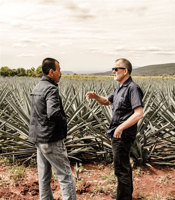 Carlos Camarena e Tomas Estes in uno dei campi di agave di Tequila Ocho