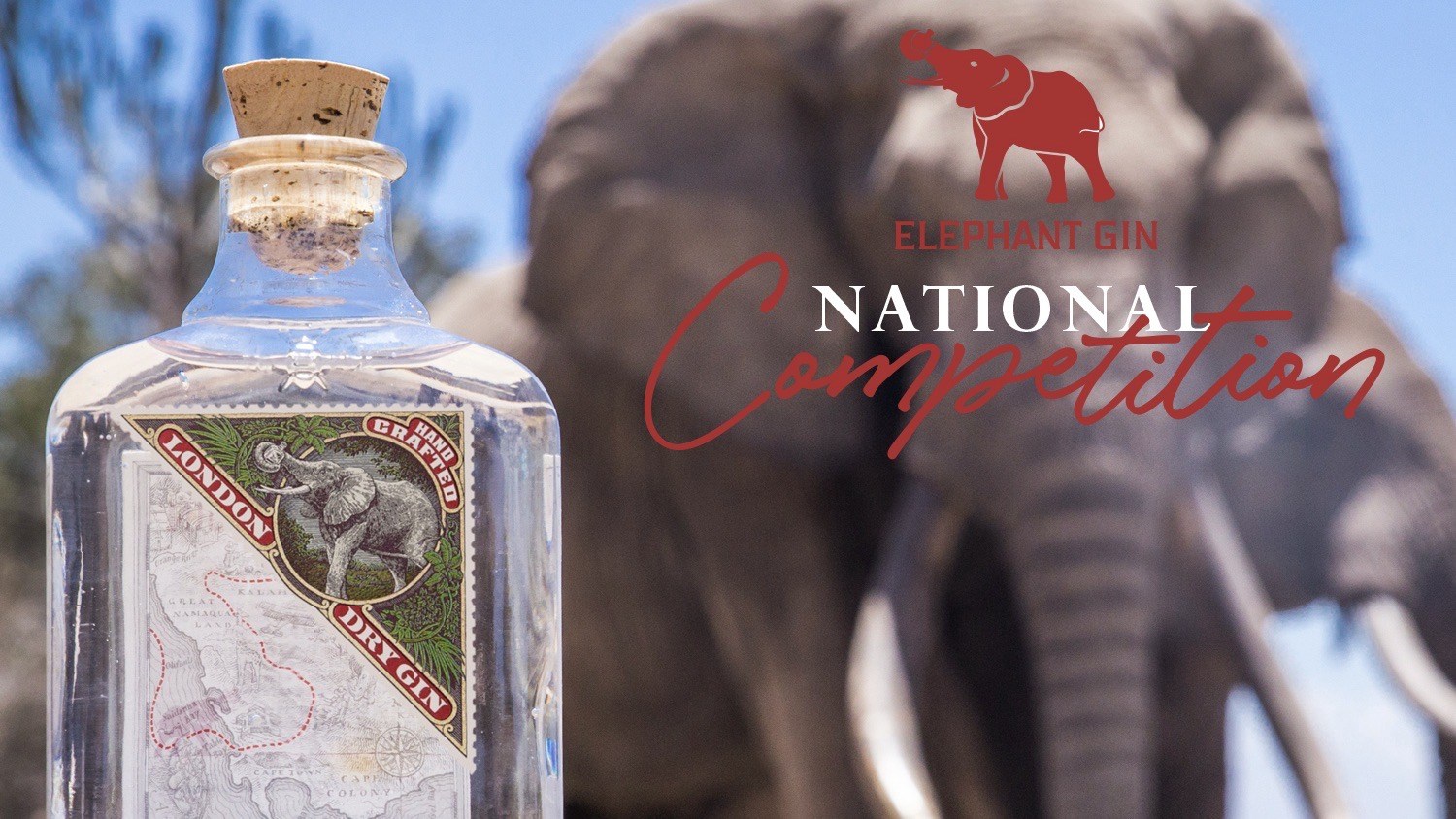 La competition di Elephant Gin continua!