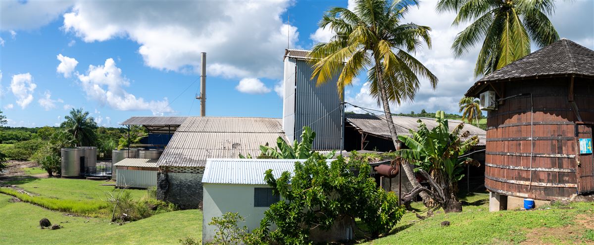 Veduta di distillerie in Martinica