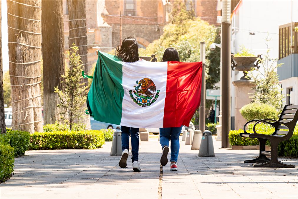 Sotto la bandiera del Messico si cela il quattordicesimo Paese al mondo per estensione.