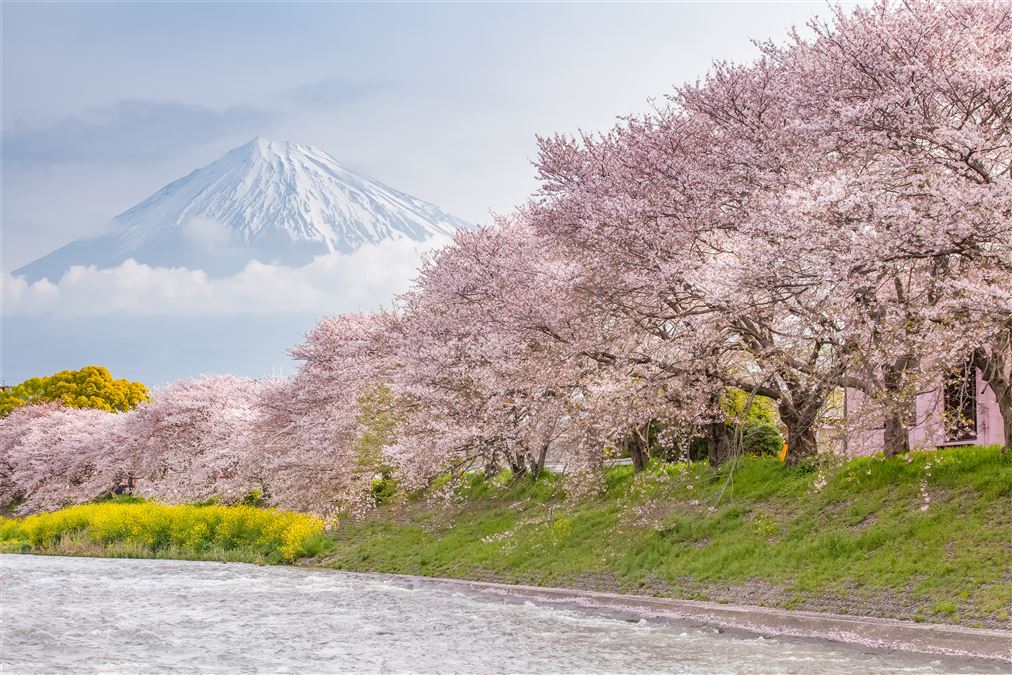 Il monte Fuji: uno dei profili montuosi più noti al mondo