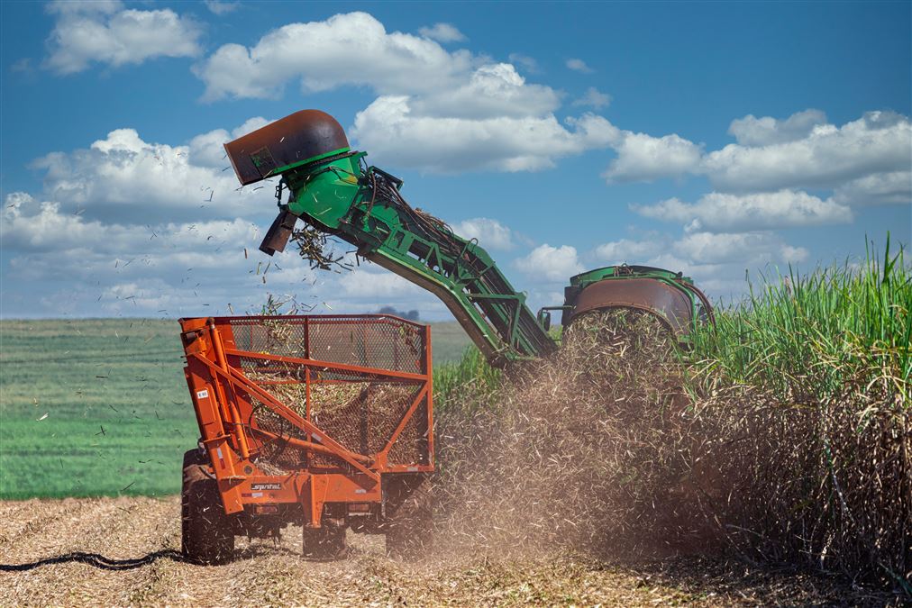 Alcune fasi della lavorazione della canna da zucchero